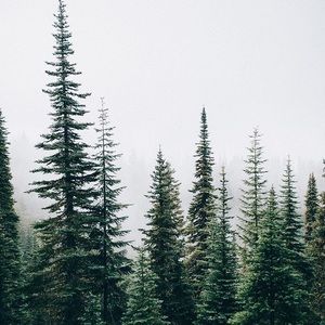 Meet your Posher, Kristia